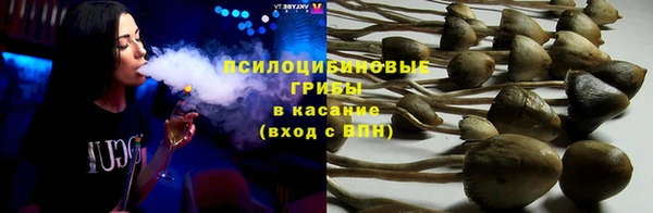 ECSTASY Богородицк