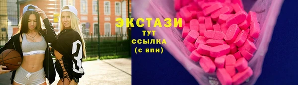 ECSTASY Богородицк